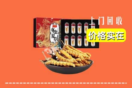 上饶市广丰回收冬虫夏草